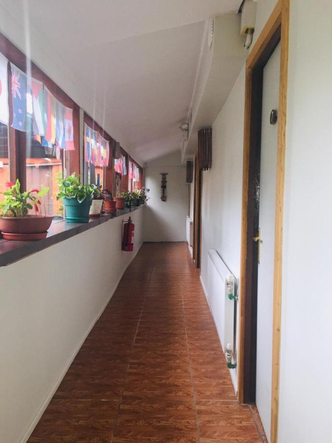 Hospedaje Irma Backpackers Pucón Extérieur photo